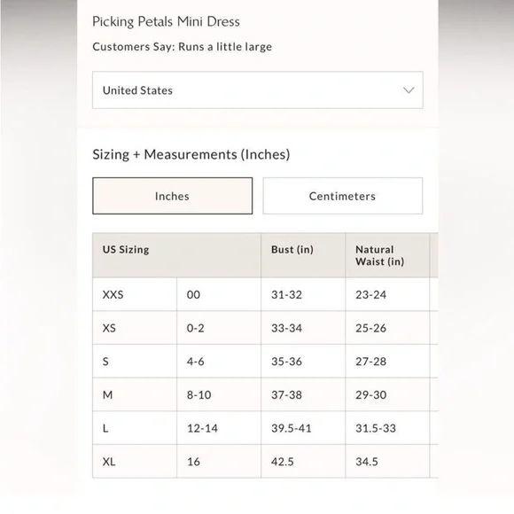 NWOT Free People Picking Petals Embroidered Mini Tunic Dress in Cardamom Seed XS - Picture 9 of 9